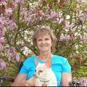 Meet your Posher, Grace